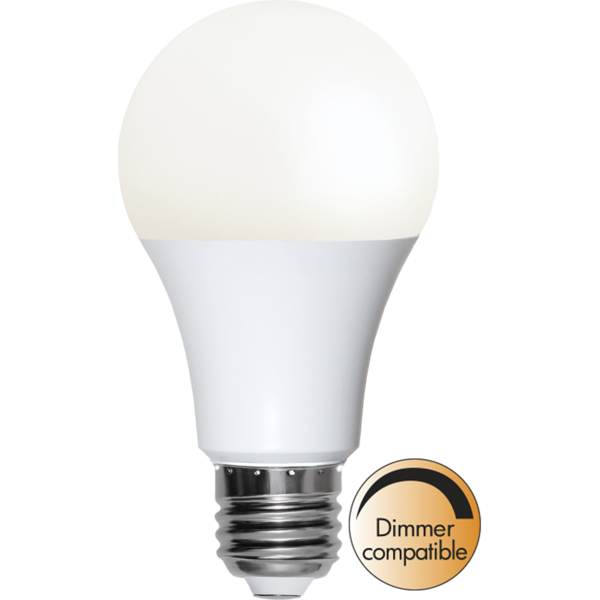 Illumination LED Opal E27 13