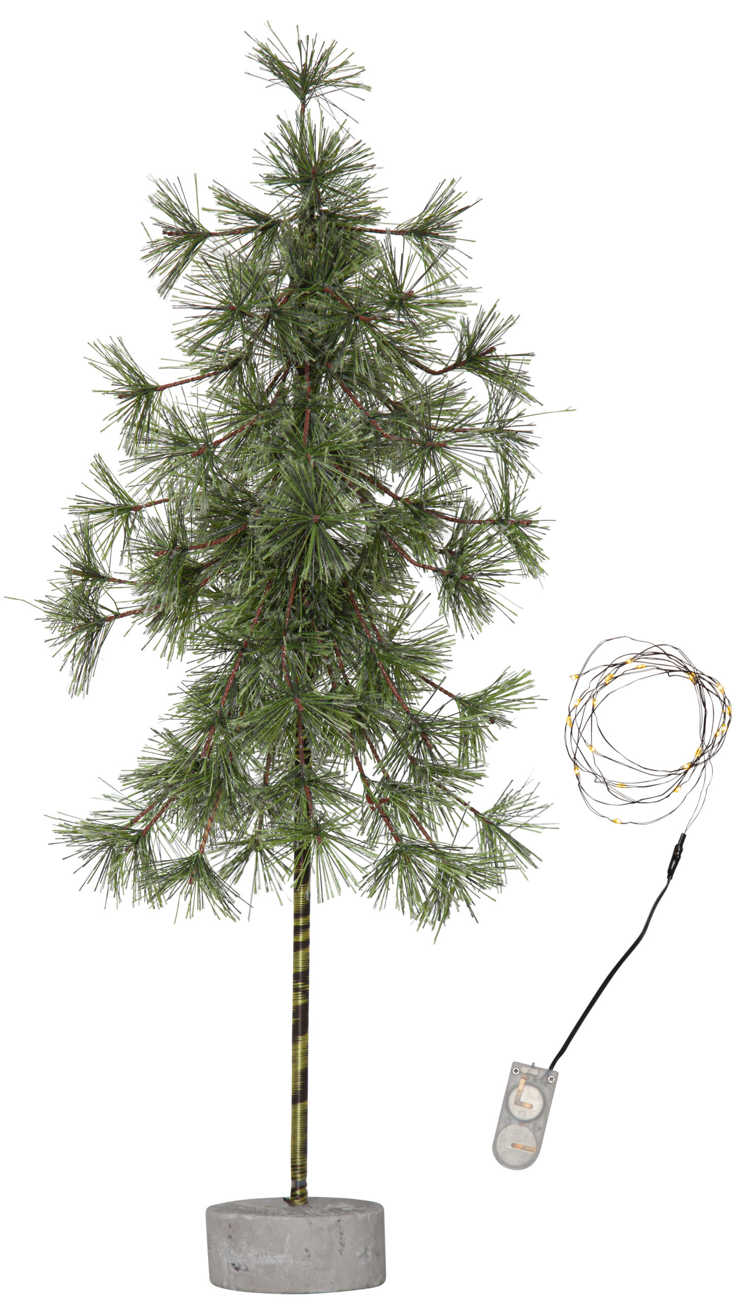 PINE600-36