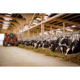 AMMONIAK ARMATUR L-1190